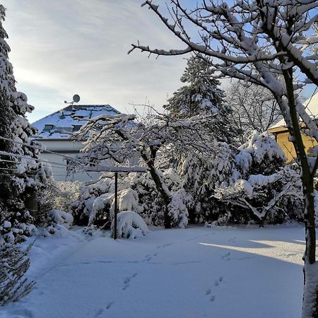 Vila Krocinka Praha Bagian luar foto