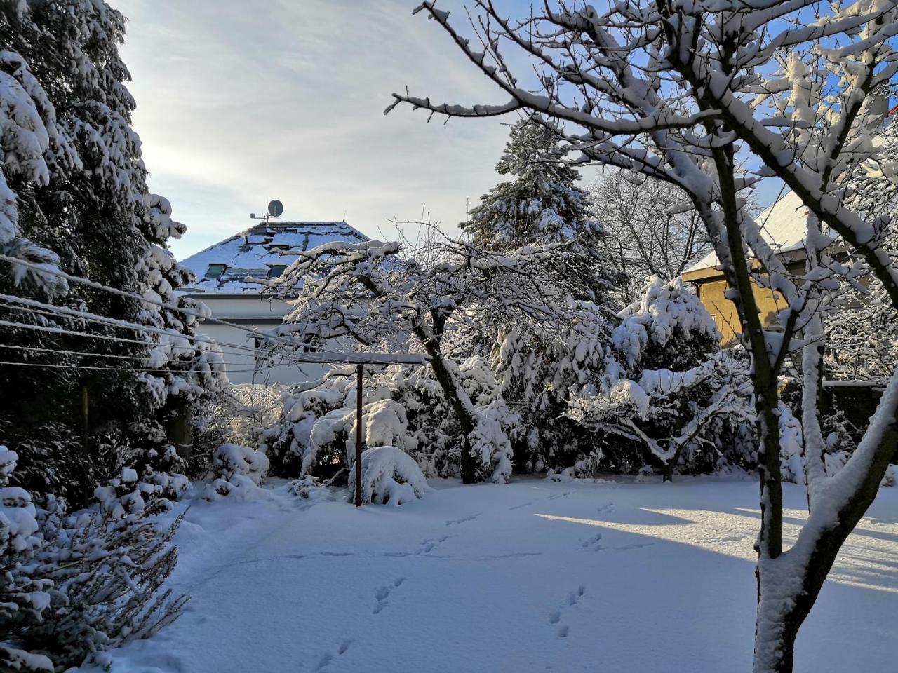 Vila Krocinka Praha Bagian luar foto